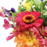 Long established florist based in multi-cultured inland city of NSW.New Listing.