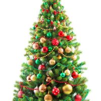 ICONIC OUTDOOR CHRISTMAS TREE MANUFACTURING BUSINESS INC FREEHOLD. TWEED REGION