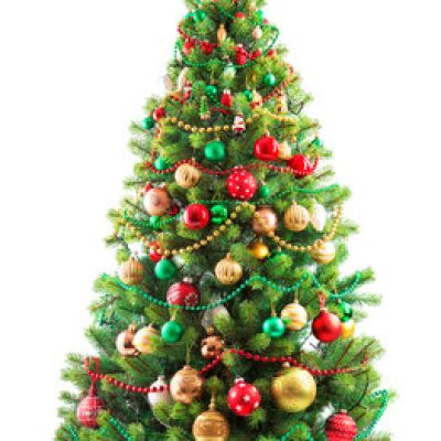 Thumbnail for the listing's main image